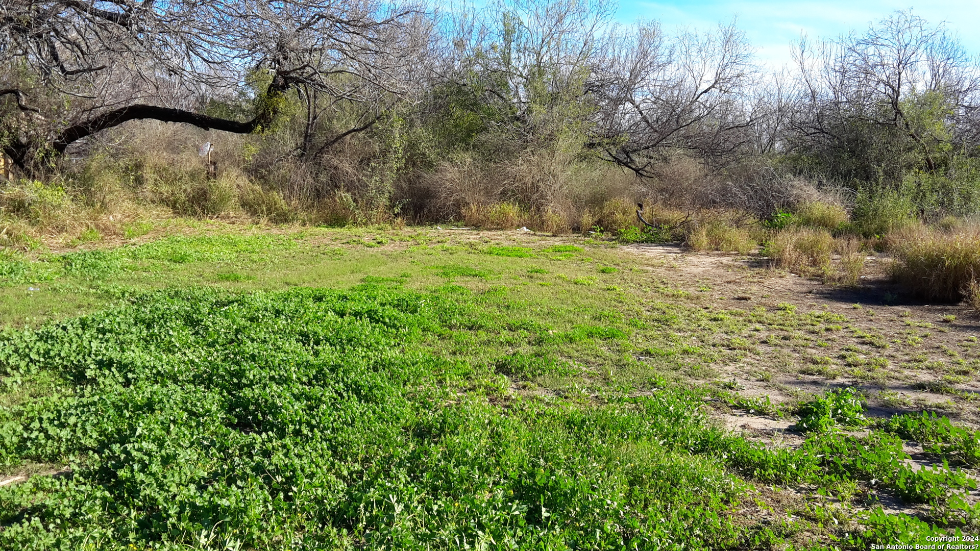 1501 N 1st Street Carrizo Springs TX 78834