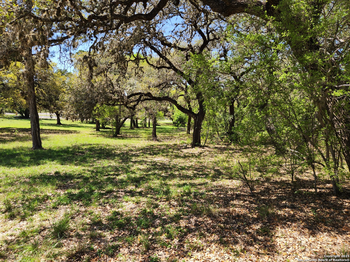 19225 Scenic Loop Helotes TX 78023