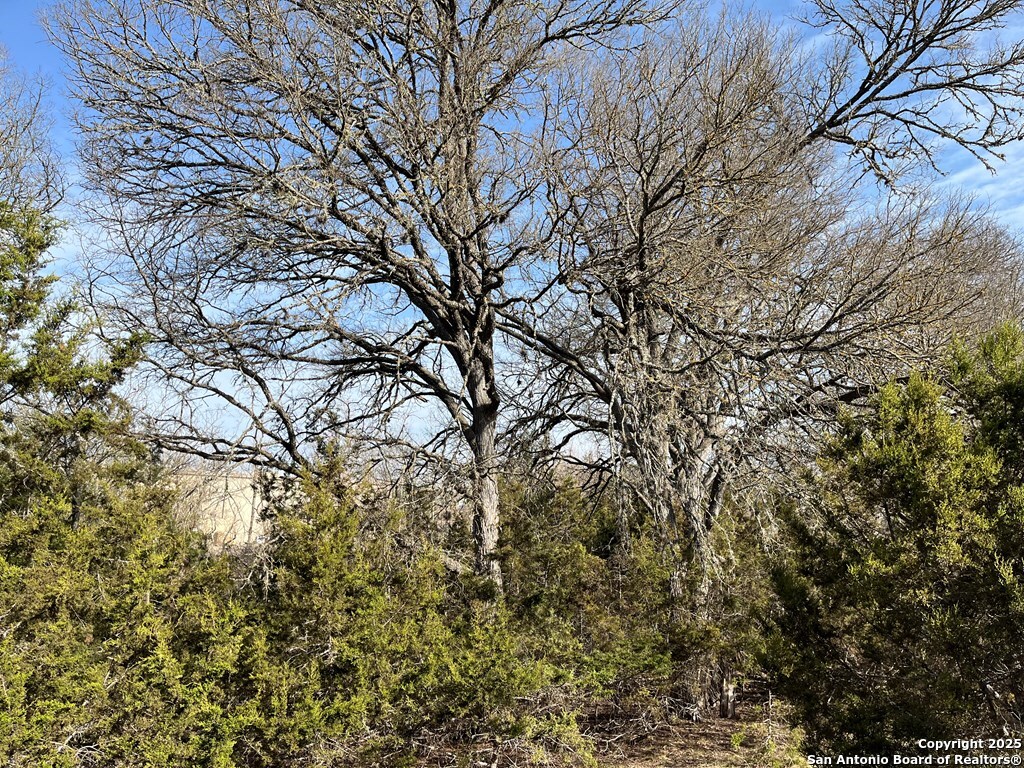 2101 N Stoneledge Drive Kerrville TX 78028