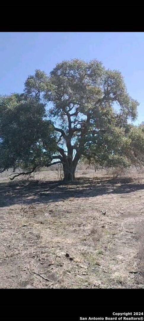 0 SE 0 County Road 189 Karnes TX 78118