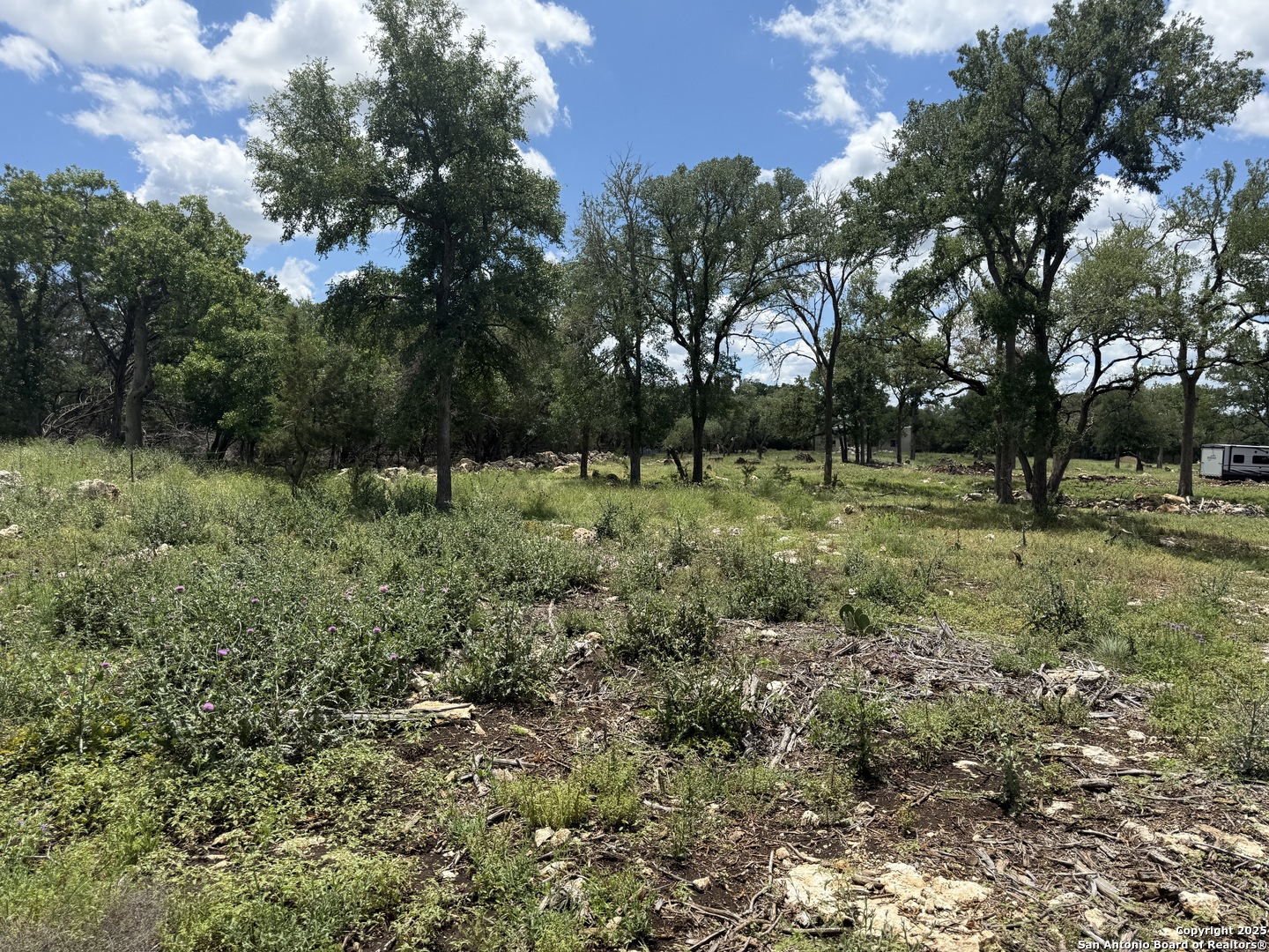 30602 Krueger Bulverde TX 78163