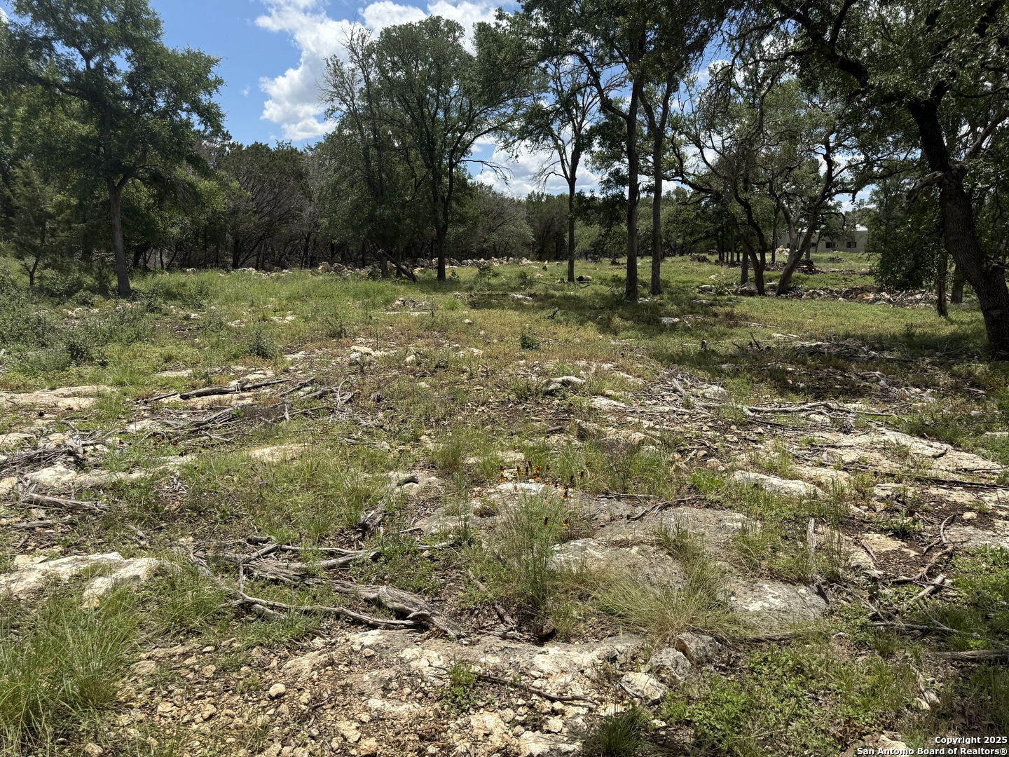 30602 Krueger Bulverde TX 78163