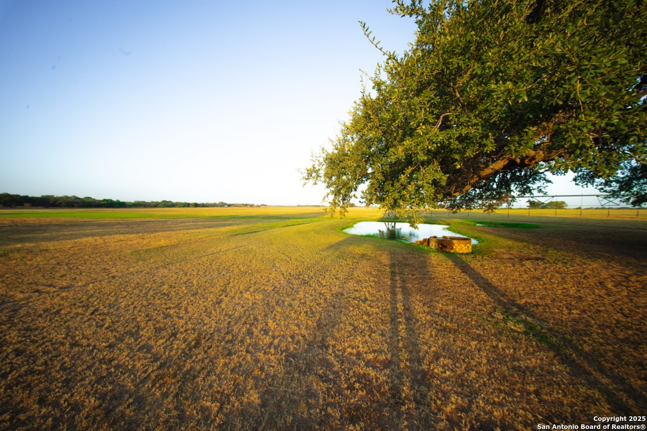 1769 Fm 536 Pleasanton TX 78064