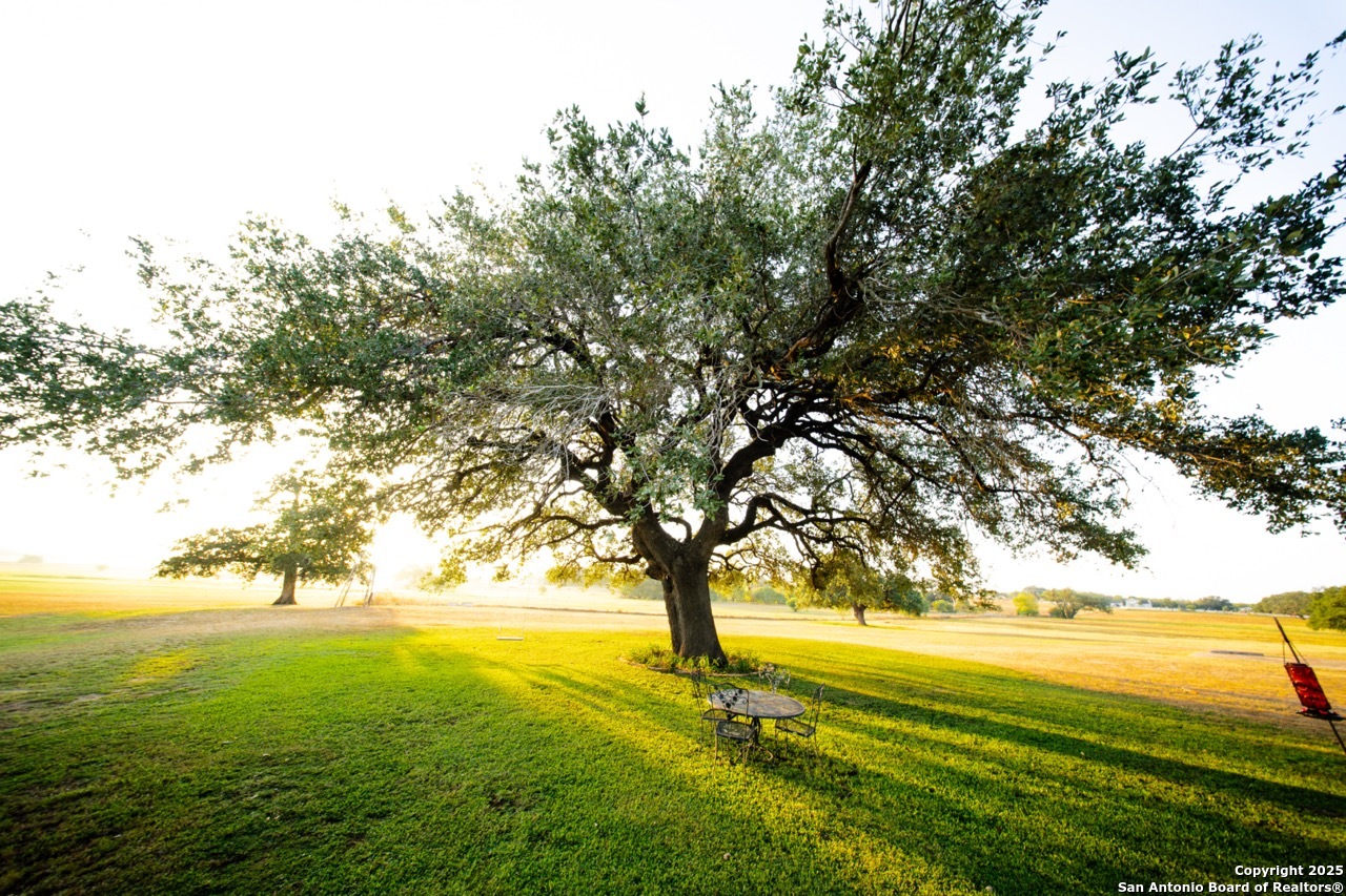 1769 Fm 536 Pleasanton TX 78064