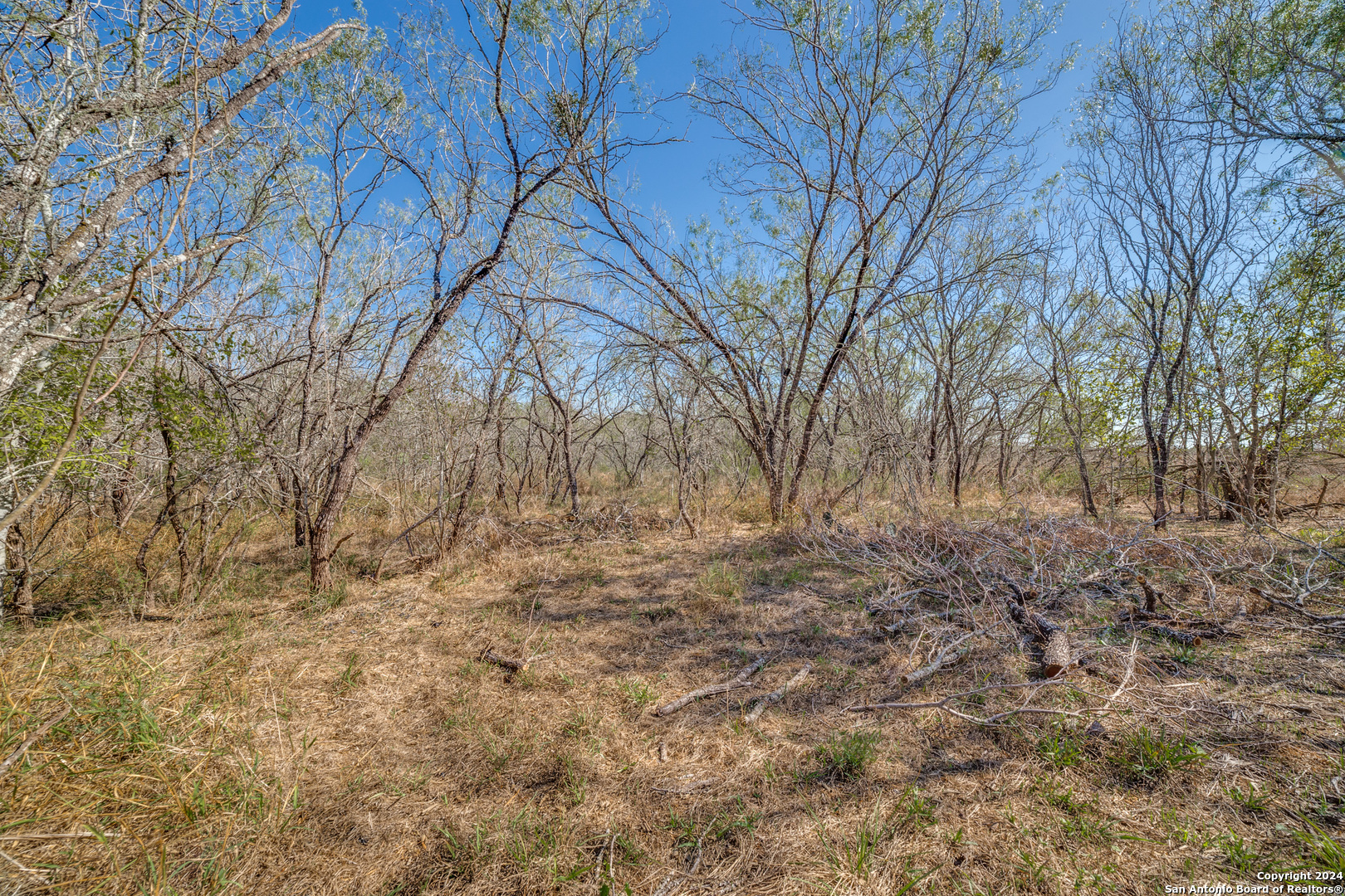 3292 Fm 1784 Pleasanton TX 78064