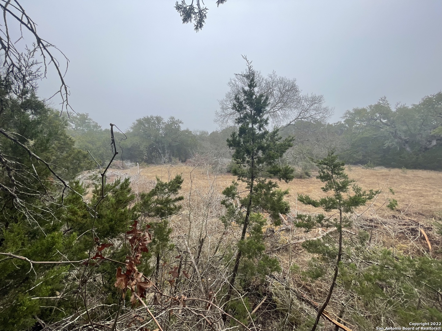 0 E Ammann Road Bulverde TX 78163