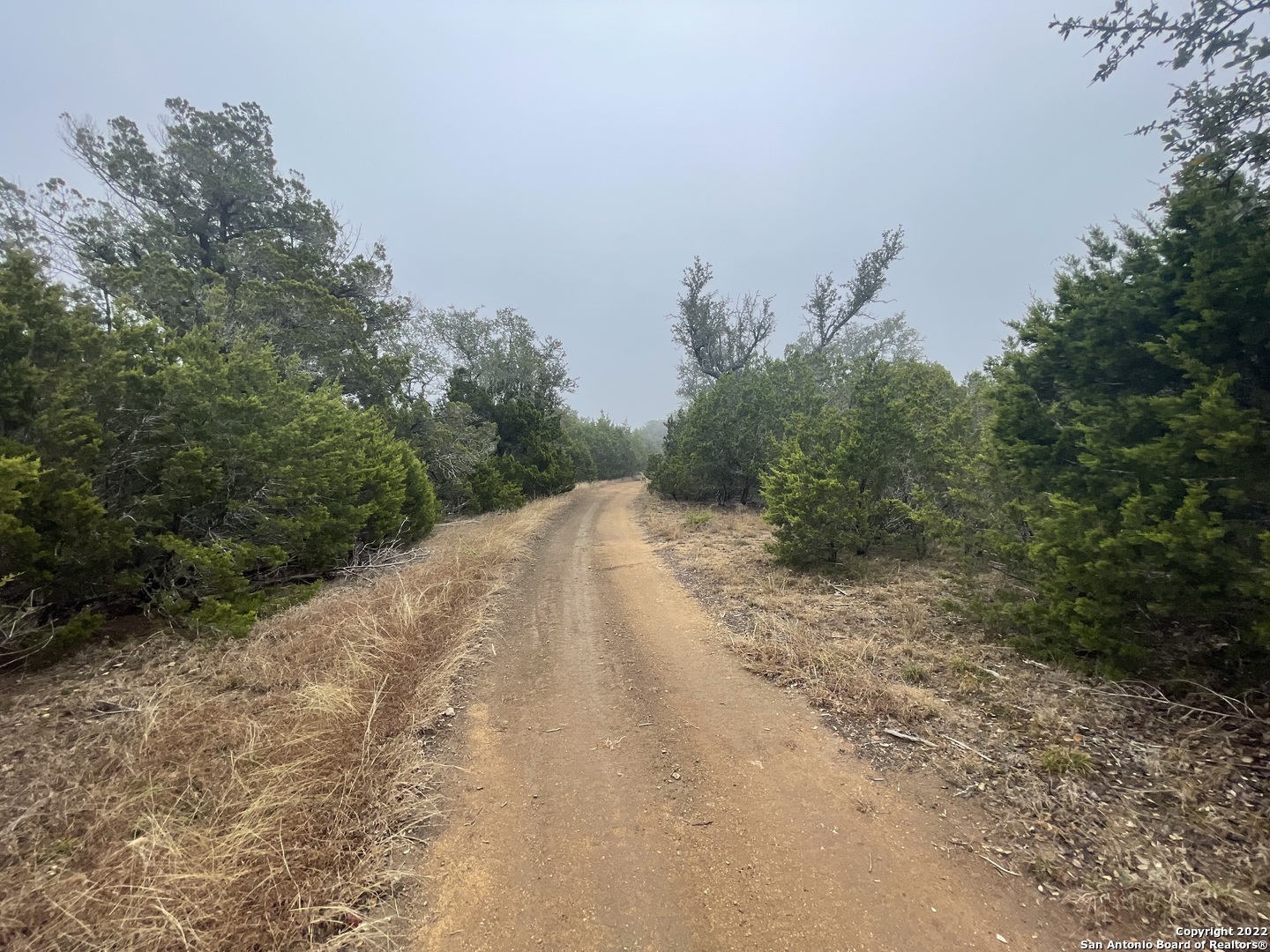 0 E Ammann Road Bulverde TX 78163