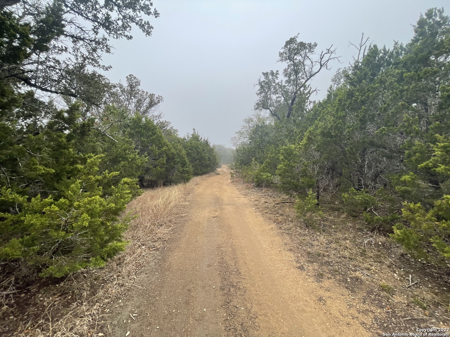 0 E Ammann Road Bulverde TX 78163