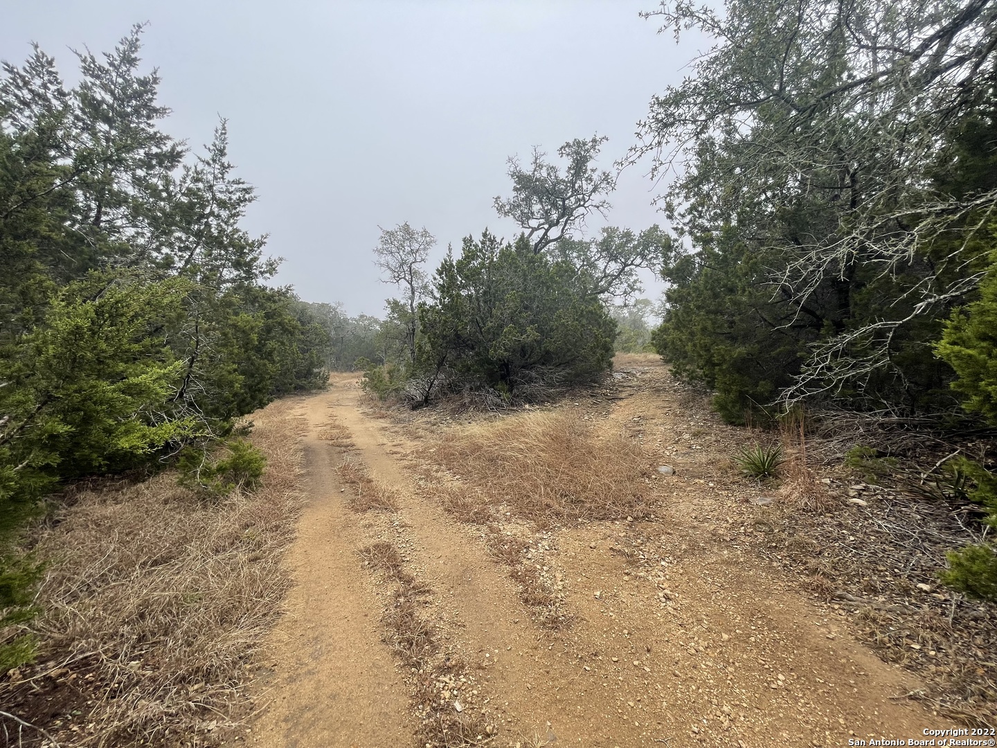 0 E Ammann Road Bulverde TX 78163