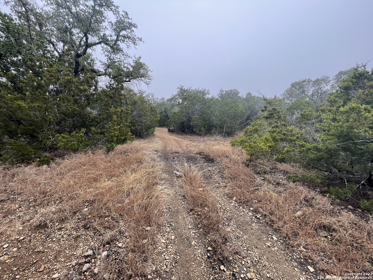 0 E Ammann Road Bulverde TX 78163