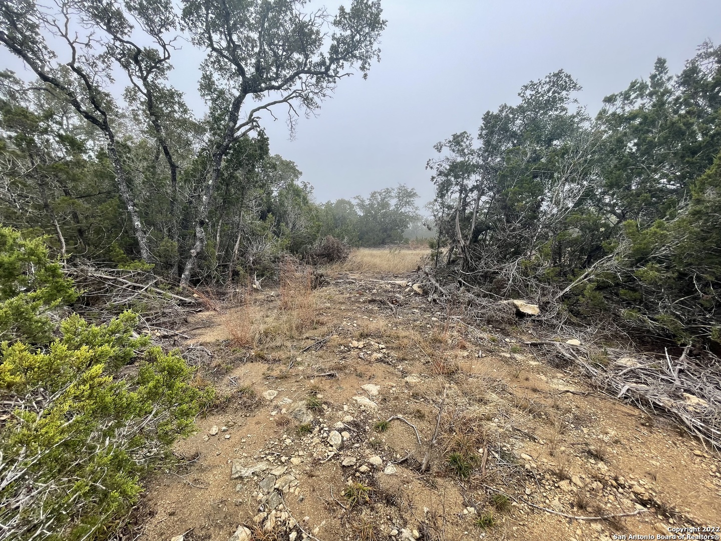 0 E Ammann Road Bulverde TX 78163