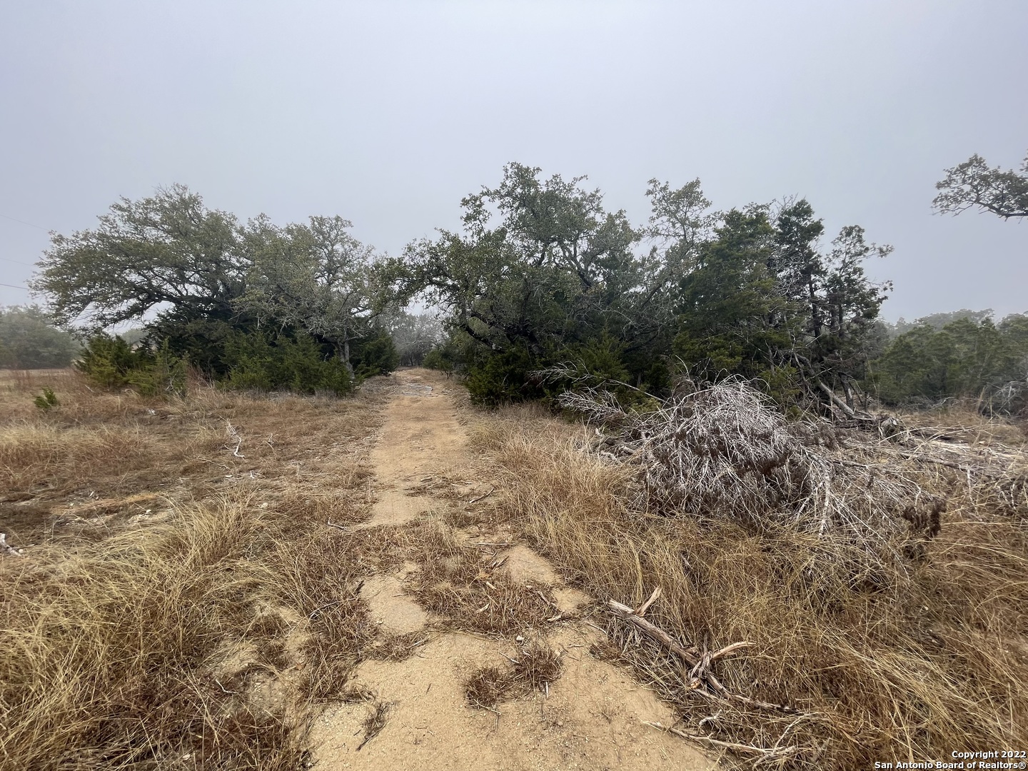 0 E Ammann Road Bulverde TX 78163