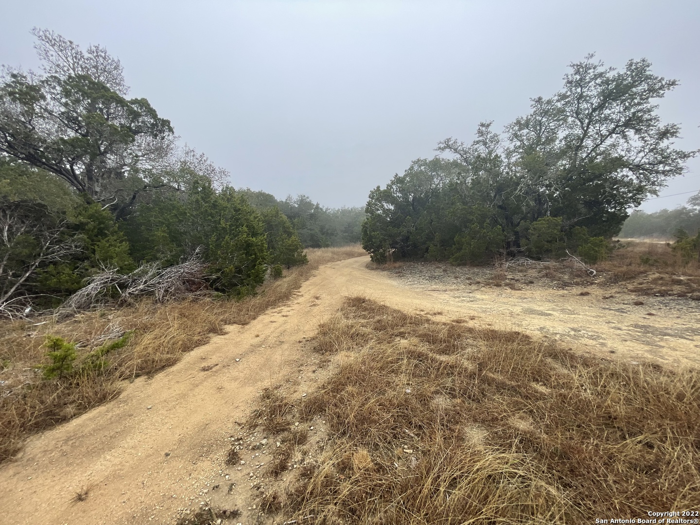 0 E Ammann Road Bulverde TX 78163