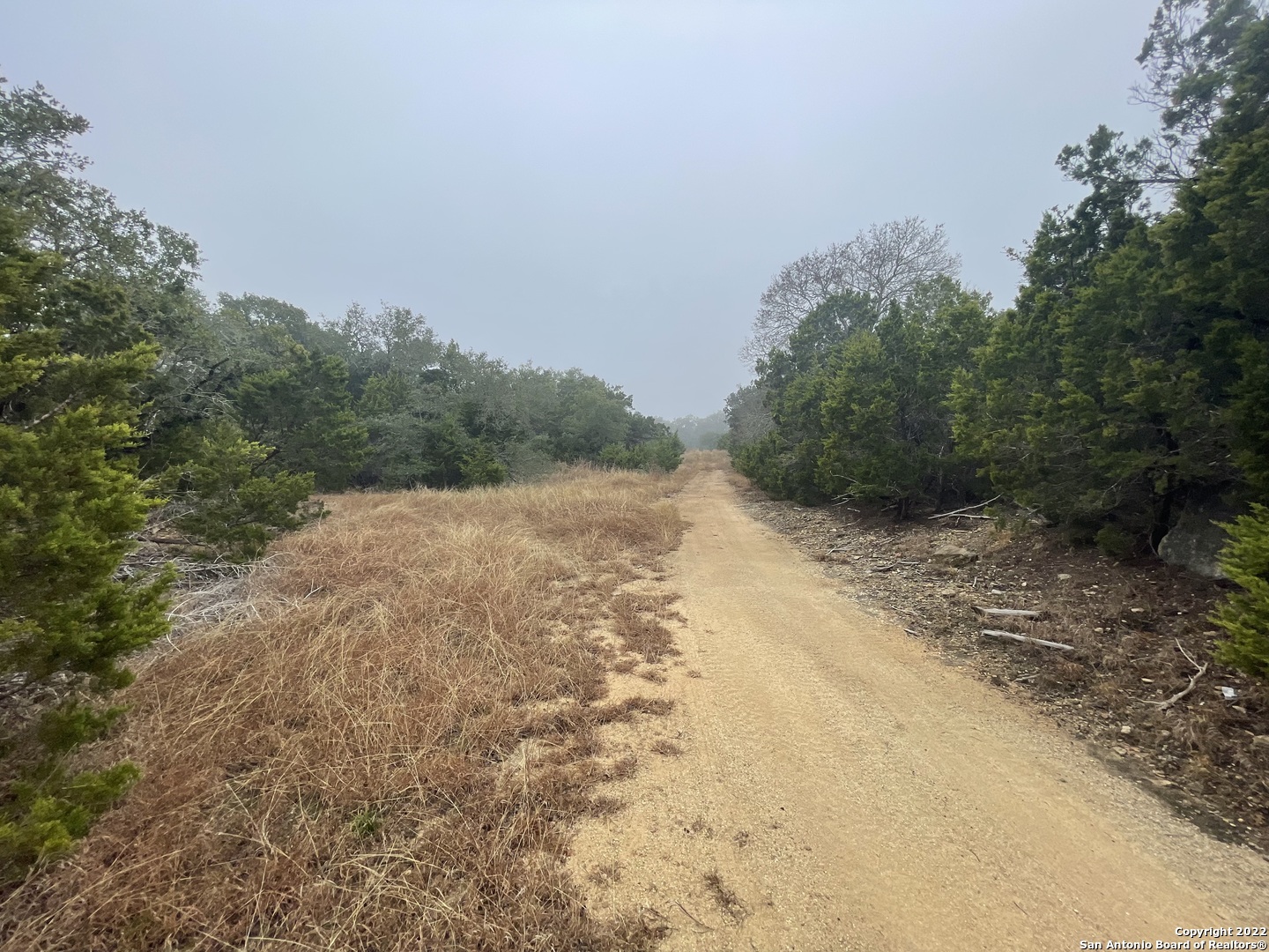 0 E Ammann Road Bulverde TX 78163