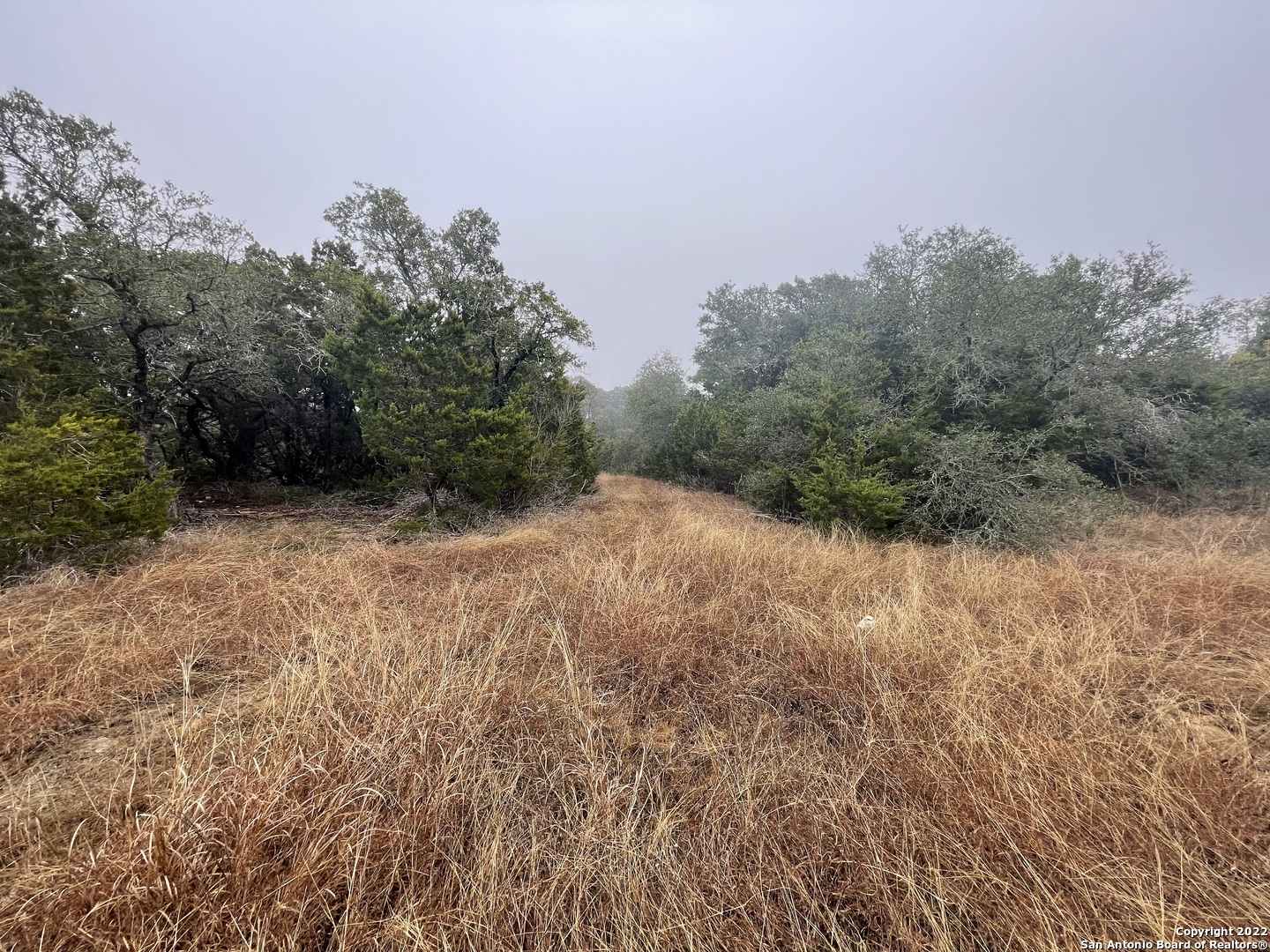0 E Ammann Road Bulverde TX 78163