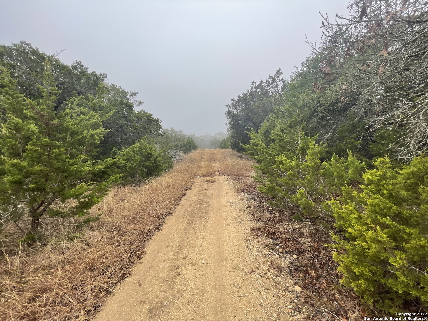 0 E Ammann Road Bulverde TX 78163