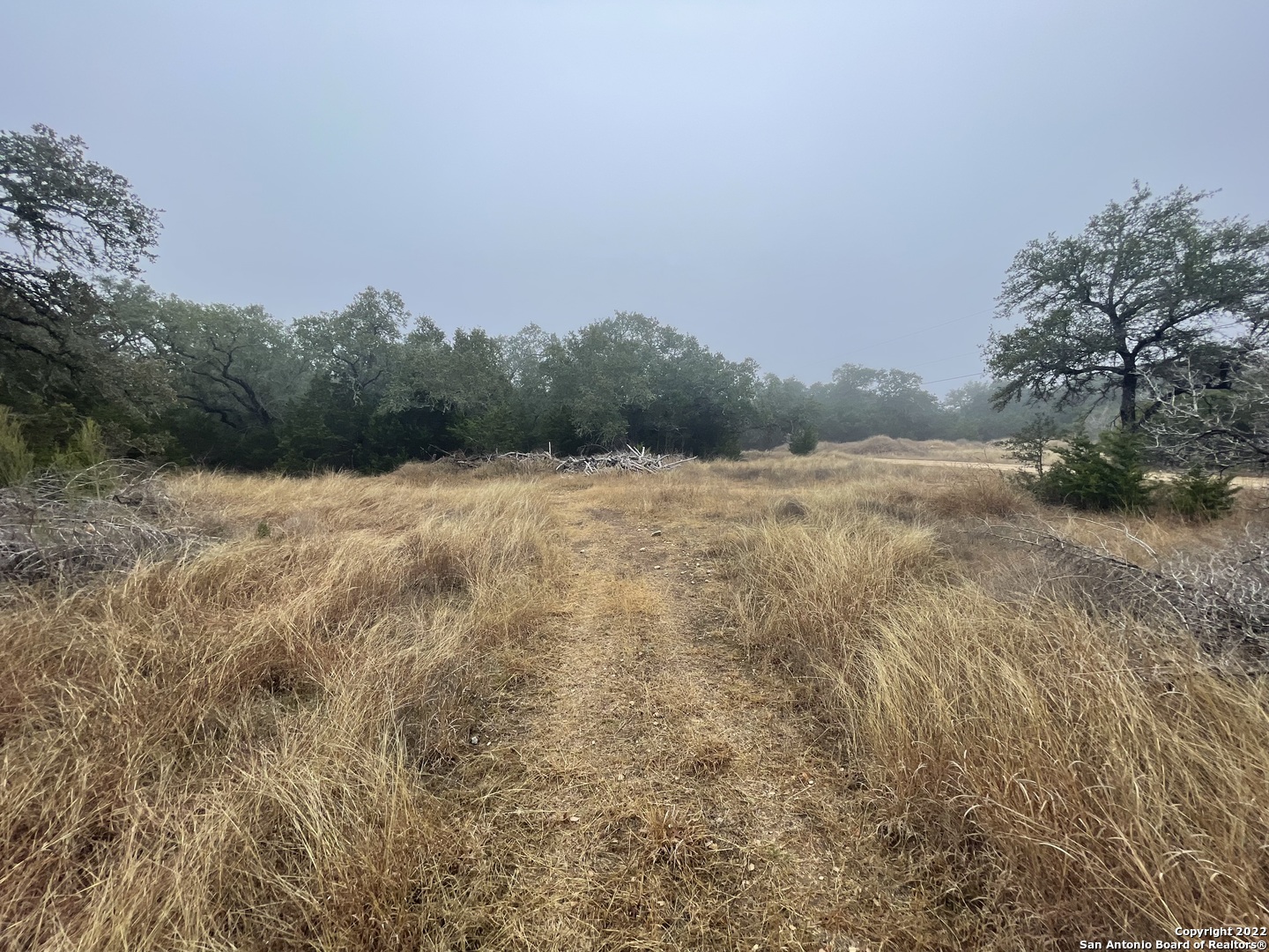 0 E Ammann Road Bulverde TX 78163
