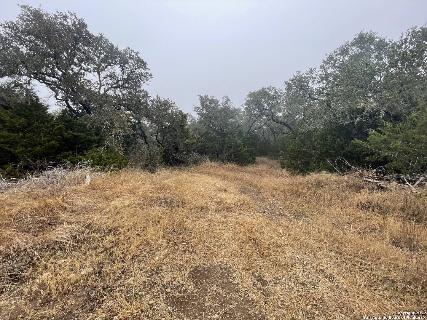 0 E Ammann Road Bulverde TX 78163