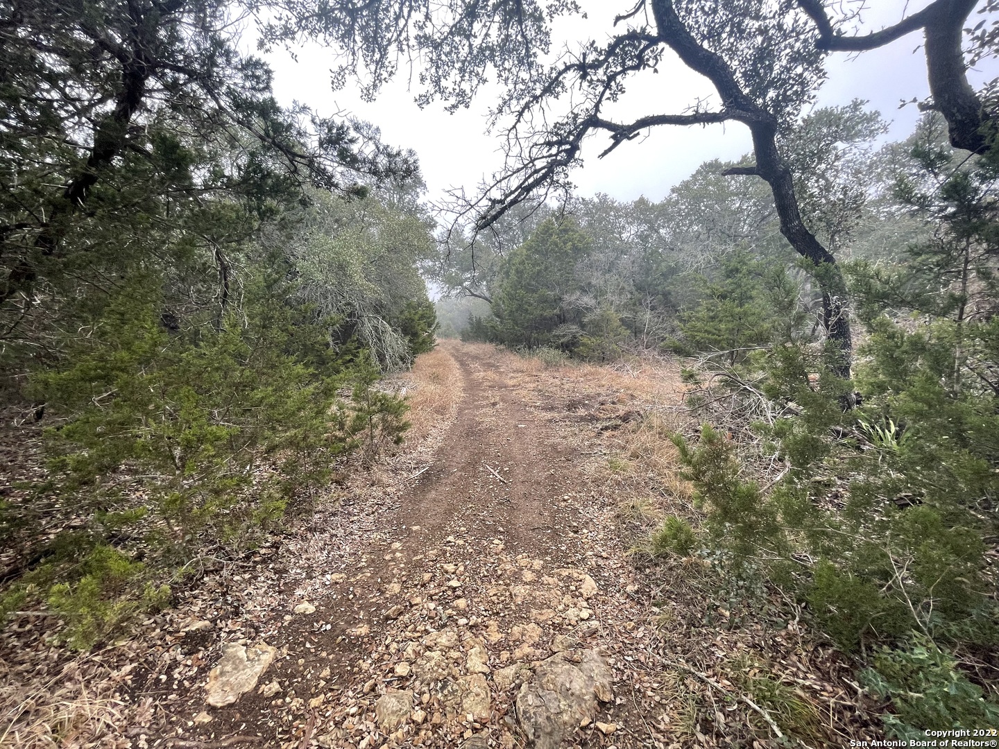 0 E Ammann Road Bulverde TX 78163