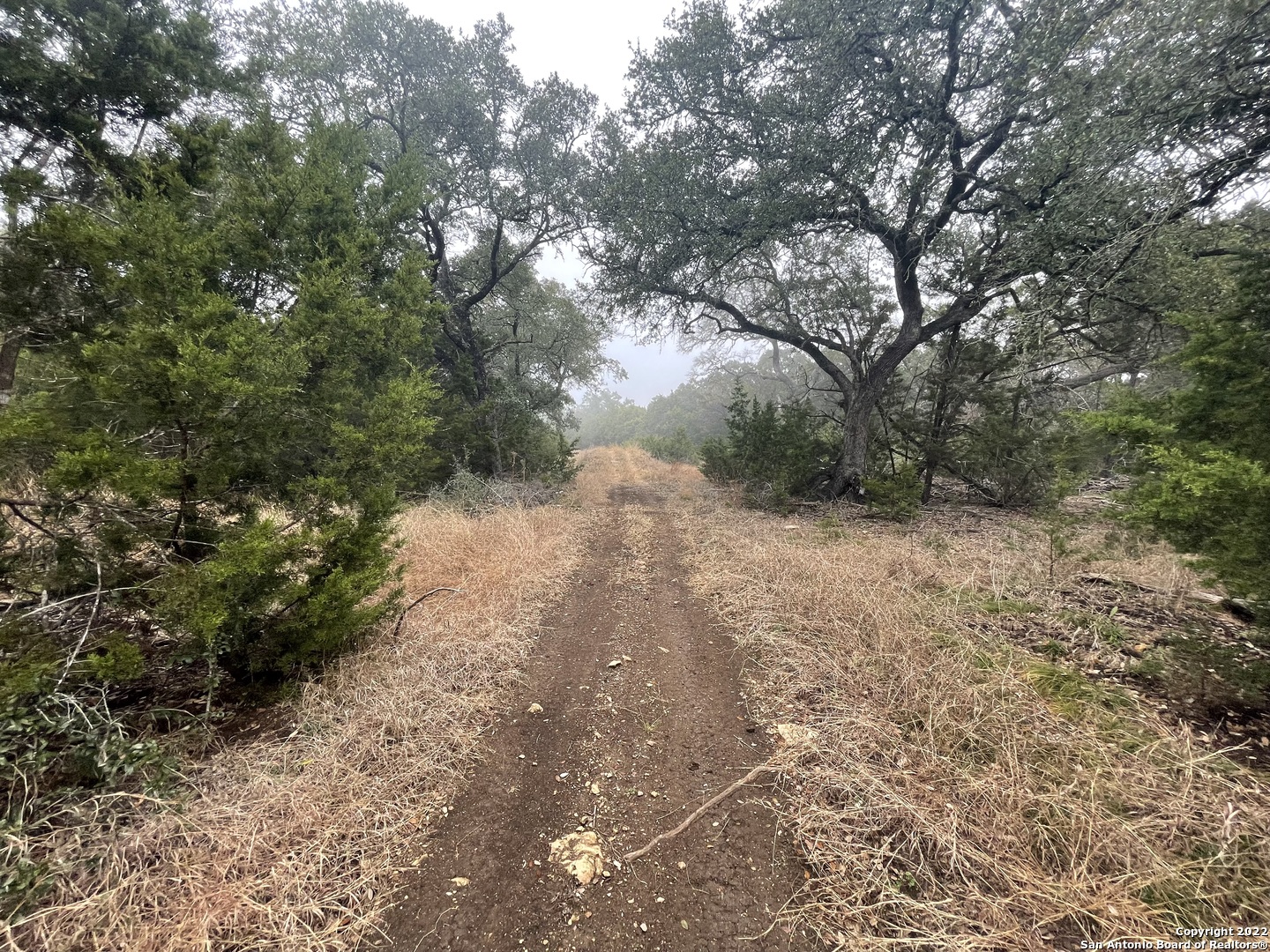 0 E Ammann Road Bulverde TX 78163