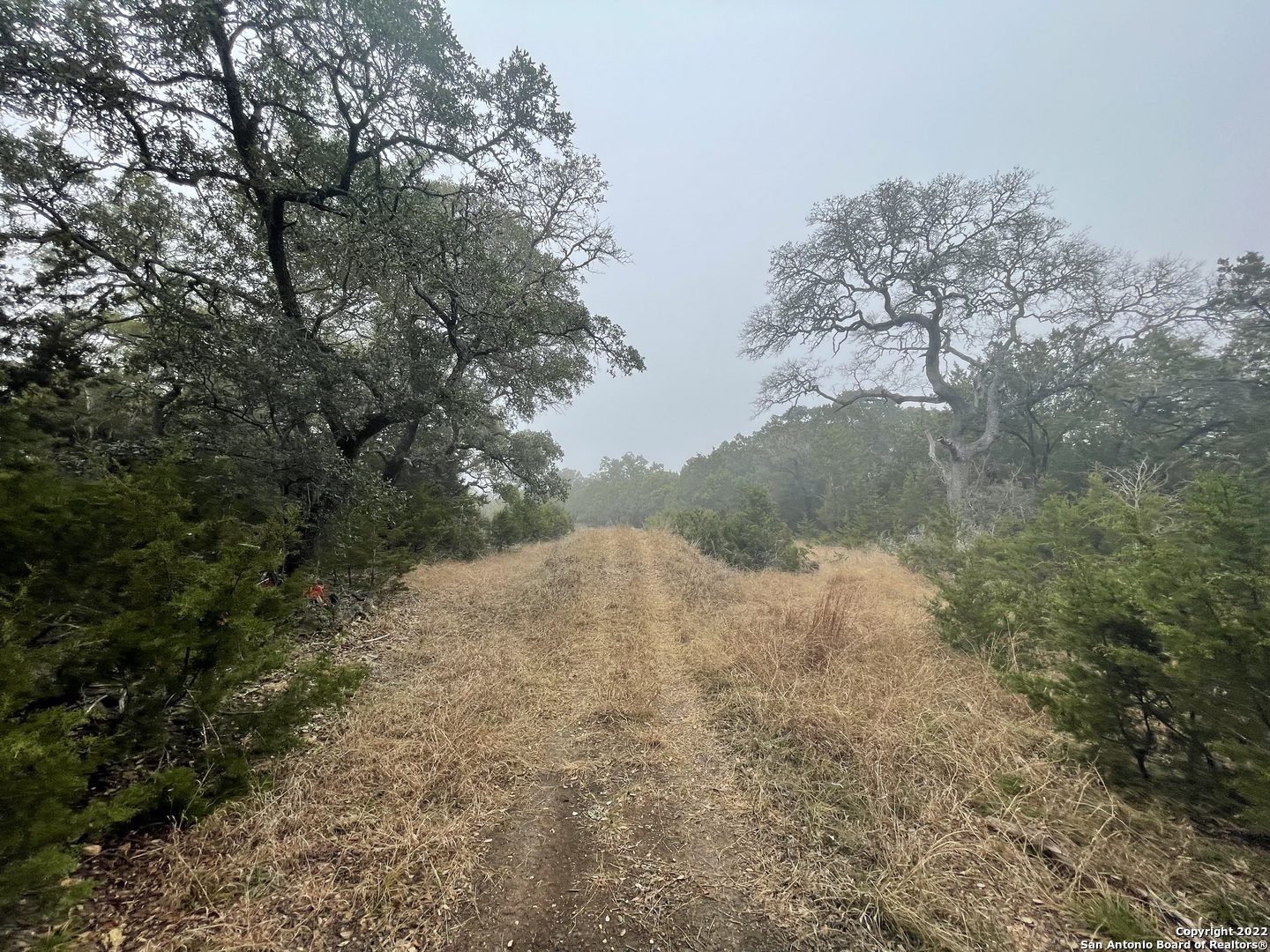 0 E Ammann Road Bulverde TX 78163