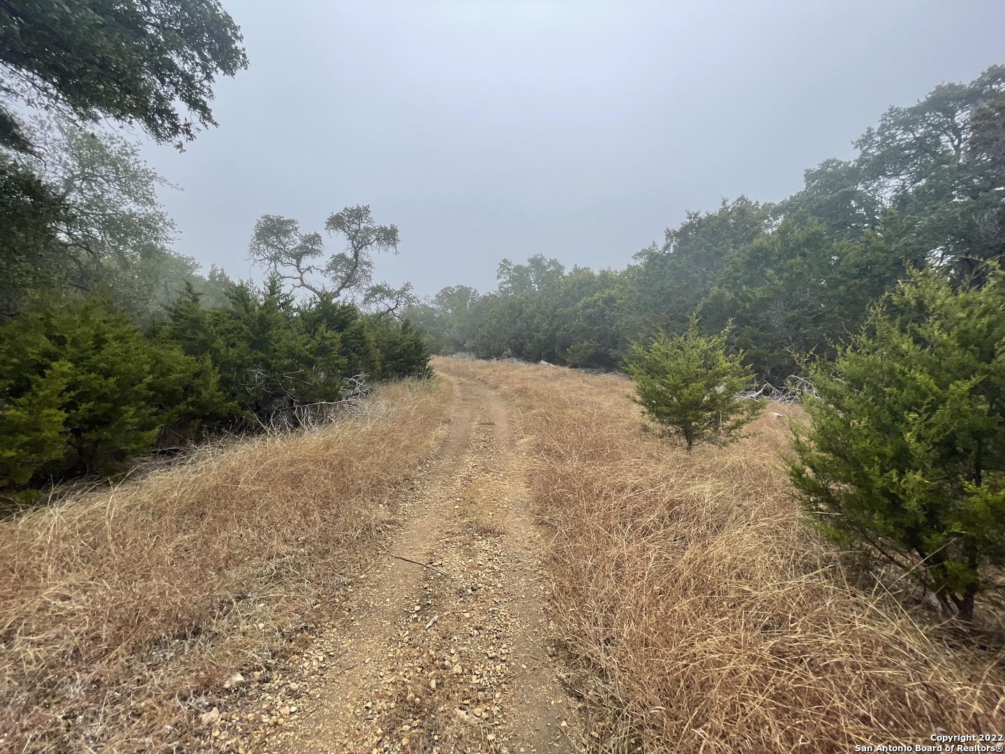 0 E Ammann Road Bulverde TX 78163
