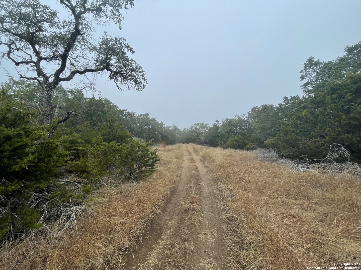 0 E Ammann Road Bulverde TX 78163