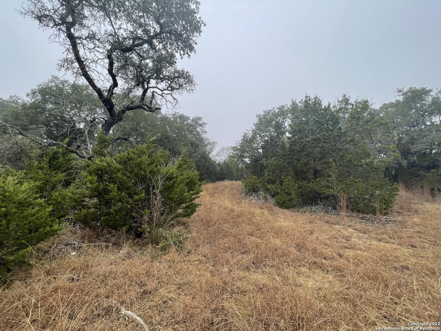 0 E Ammann Road Bulverde TX 78163