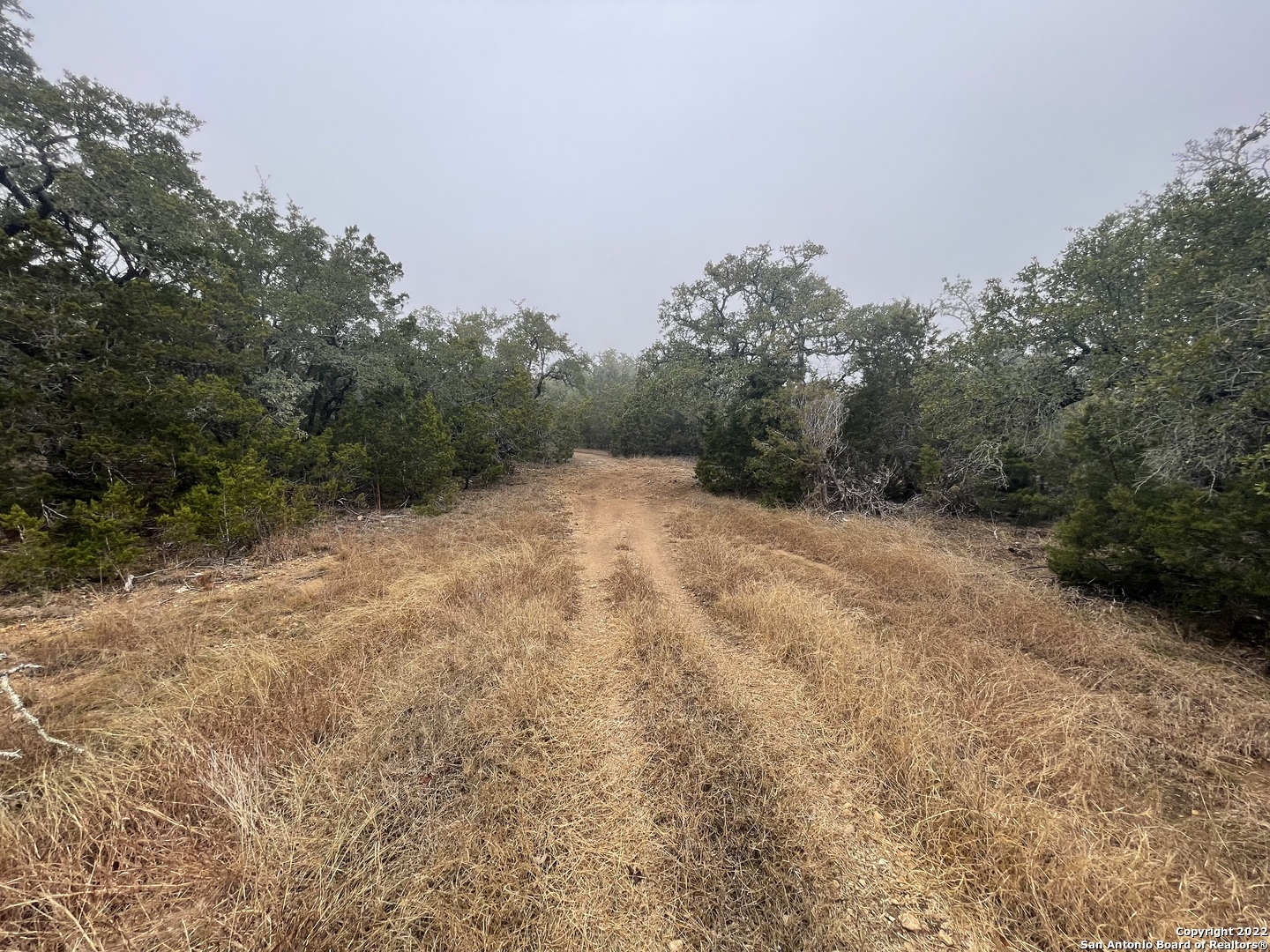 0 E Ammann Road Bulverde TX 78163