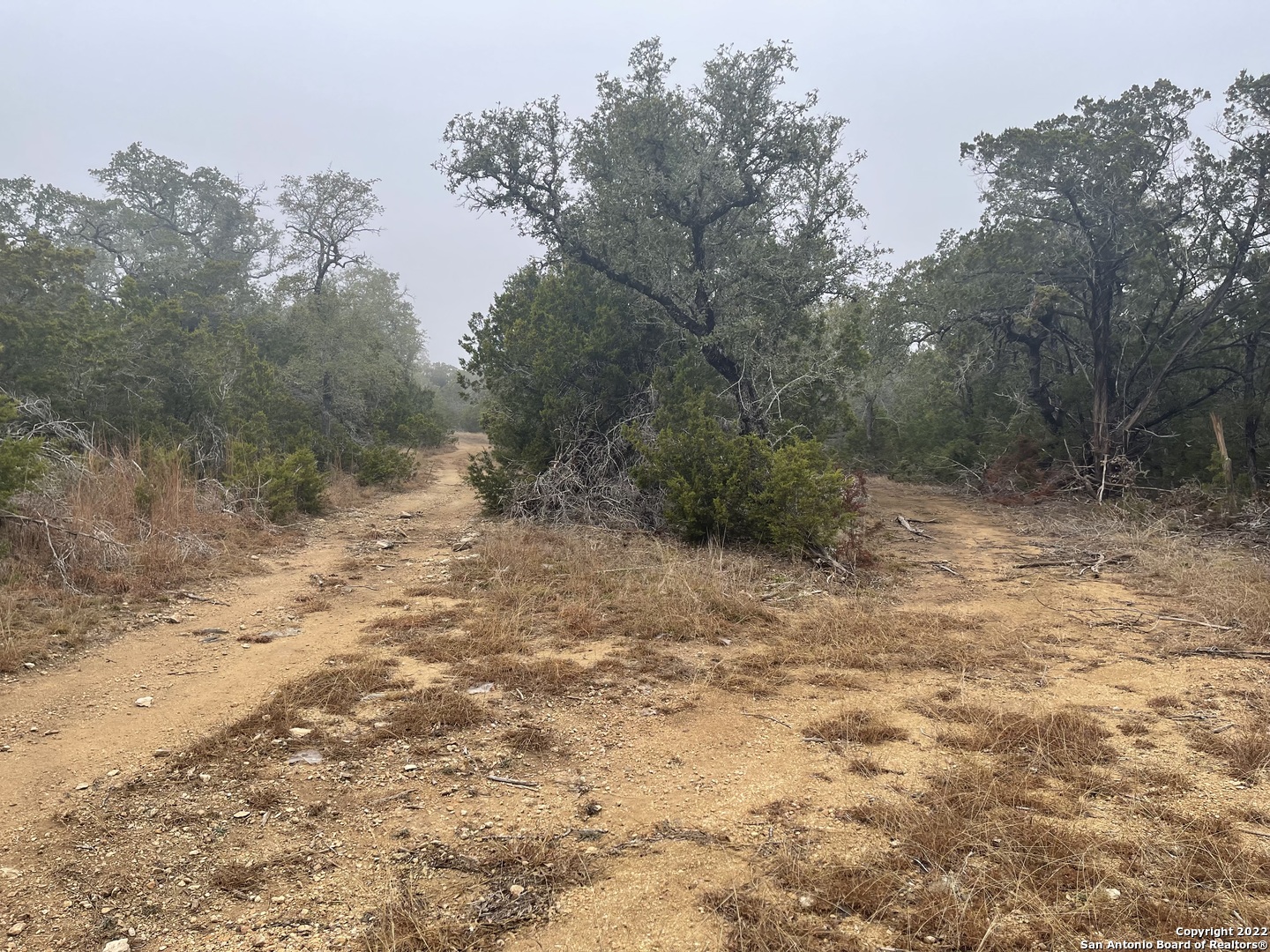 0 E Ammann Road Bulverde TX 78163