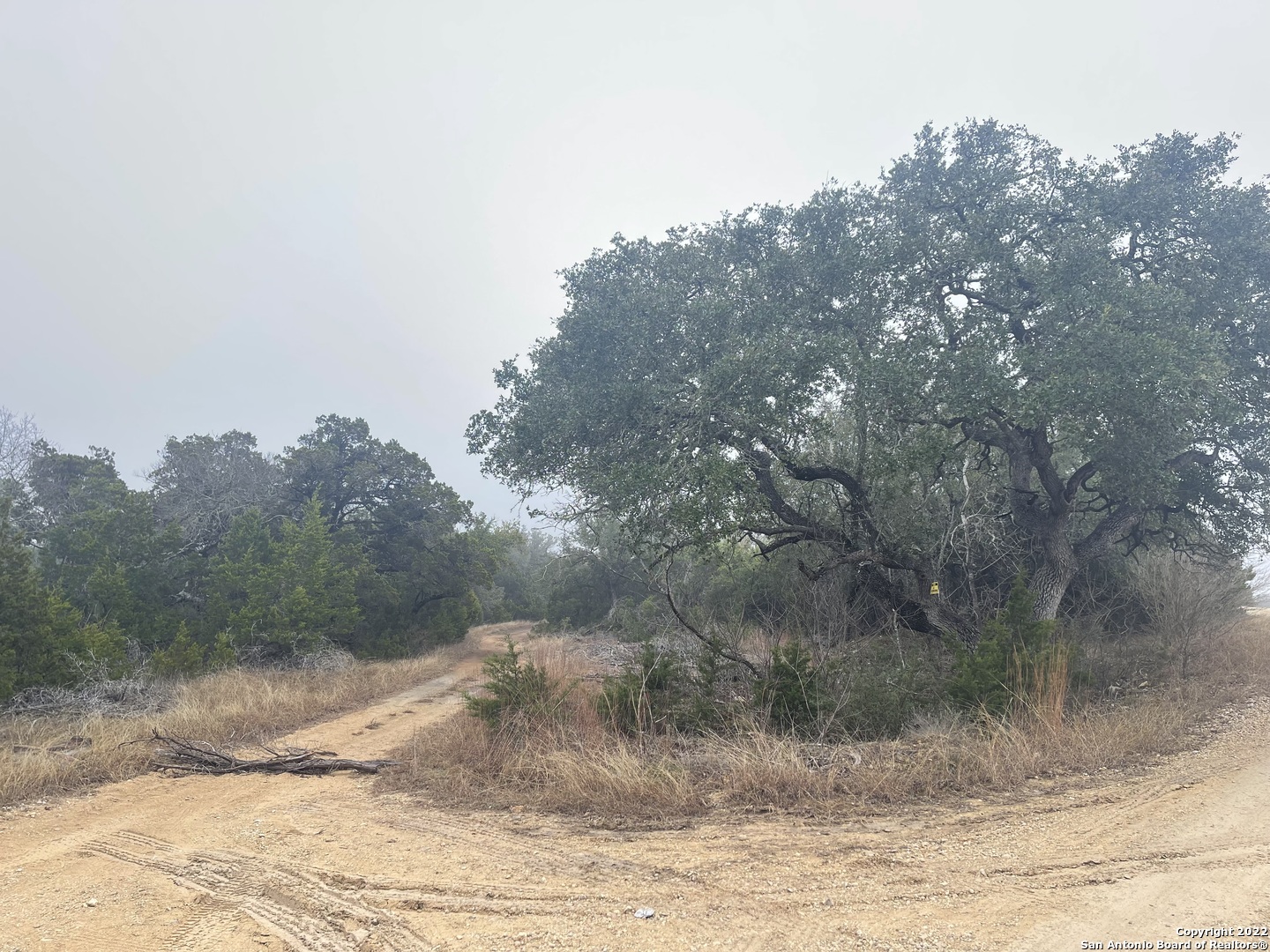 0 E Ammann Road Bulverde TX 78163