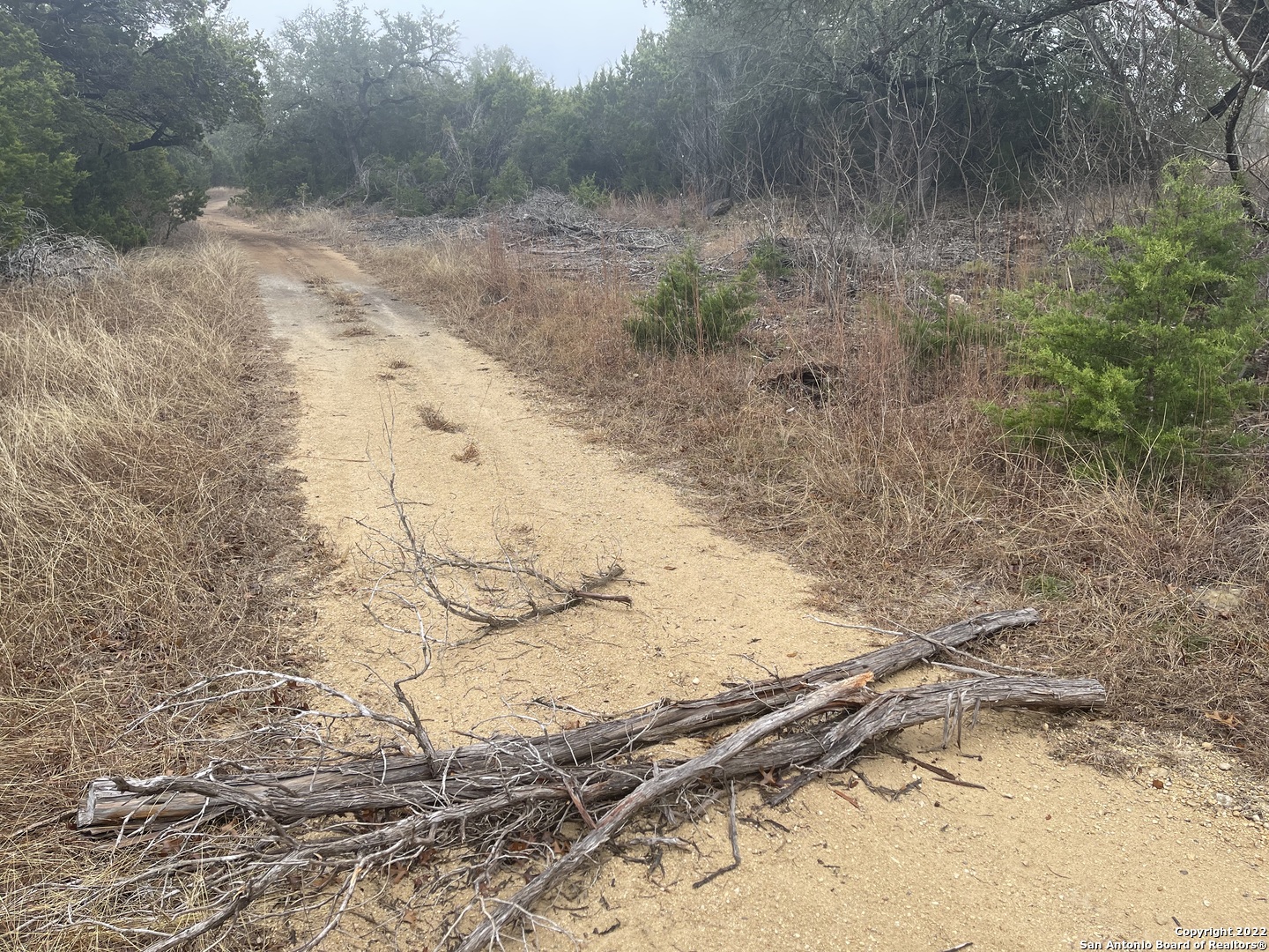 0 E Ammann Road Bulverde TX 78163