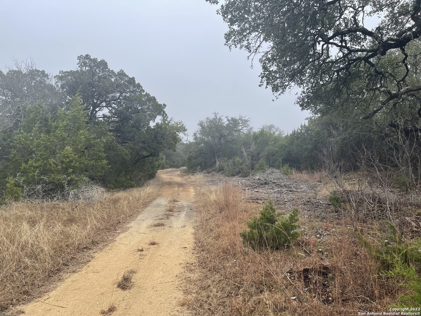 0 E Ammann Road Bulverde TX 78163