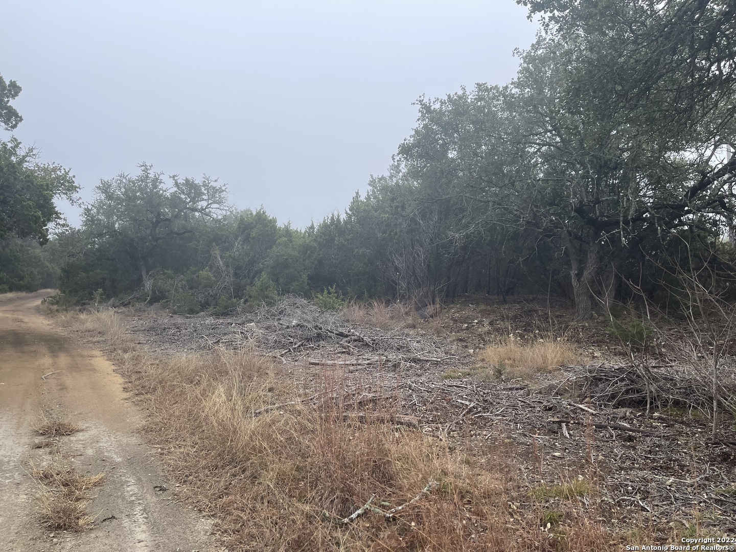 0 E Ammann Road Bulverde TX 78163