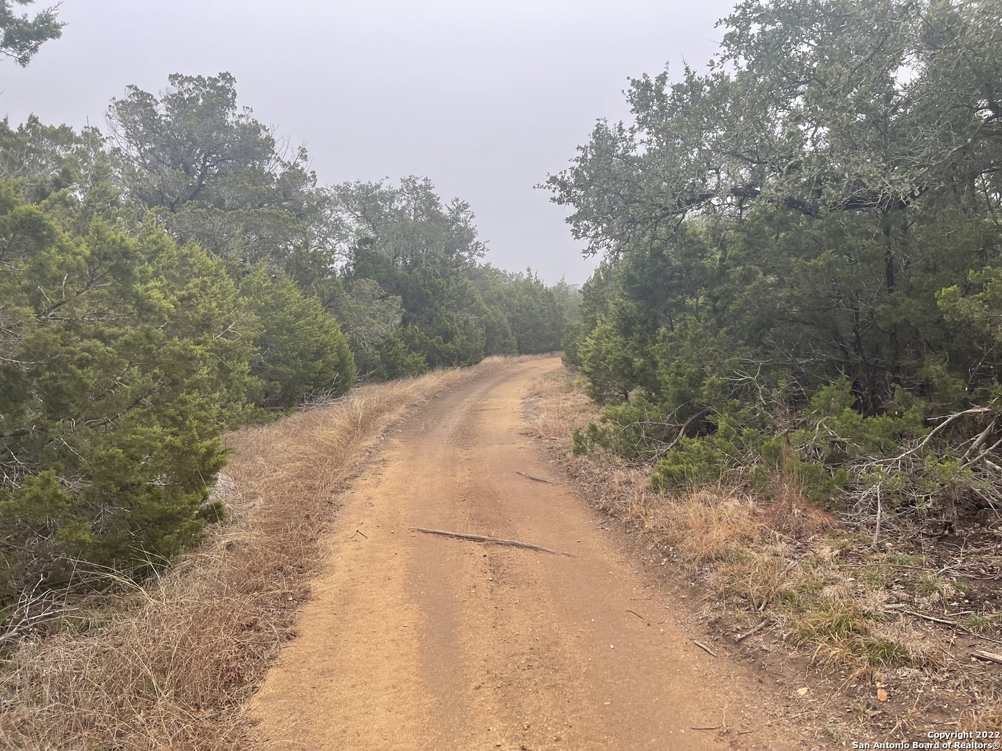 0 E Ammann Road Bulverde TX 78163