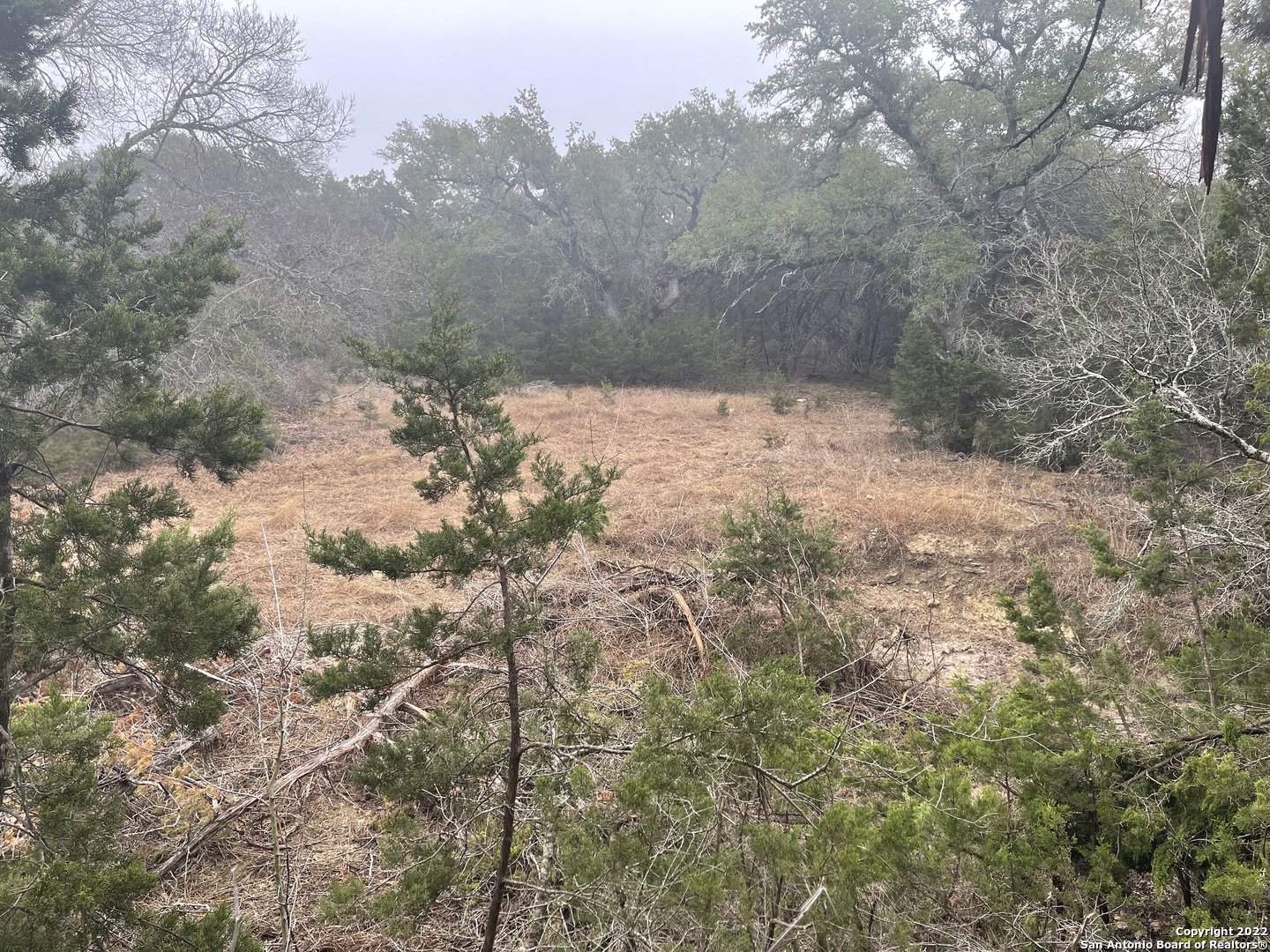 0 E Ammann Road Bulverde TX 78163