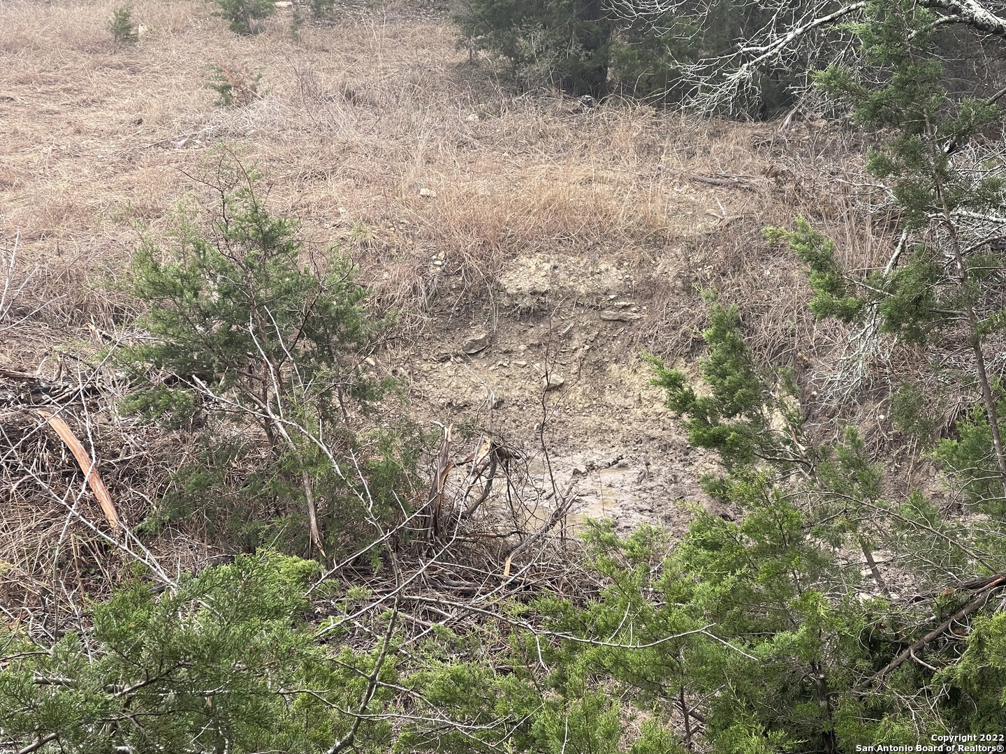 0 E Ammann Road Bulverde TX 78163