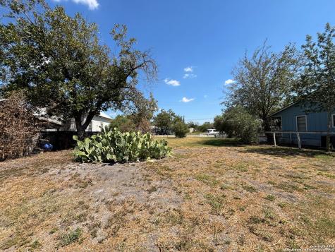 11615 Castro Lacoste TX 78039