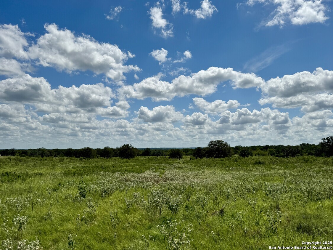 133 Wheeler Stockdale TX 78160