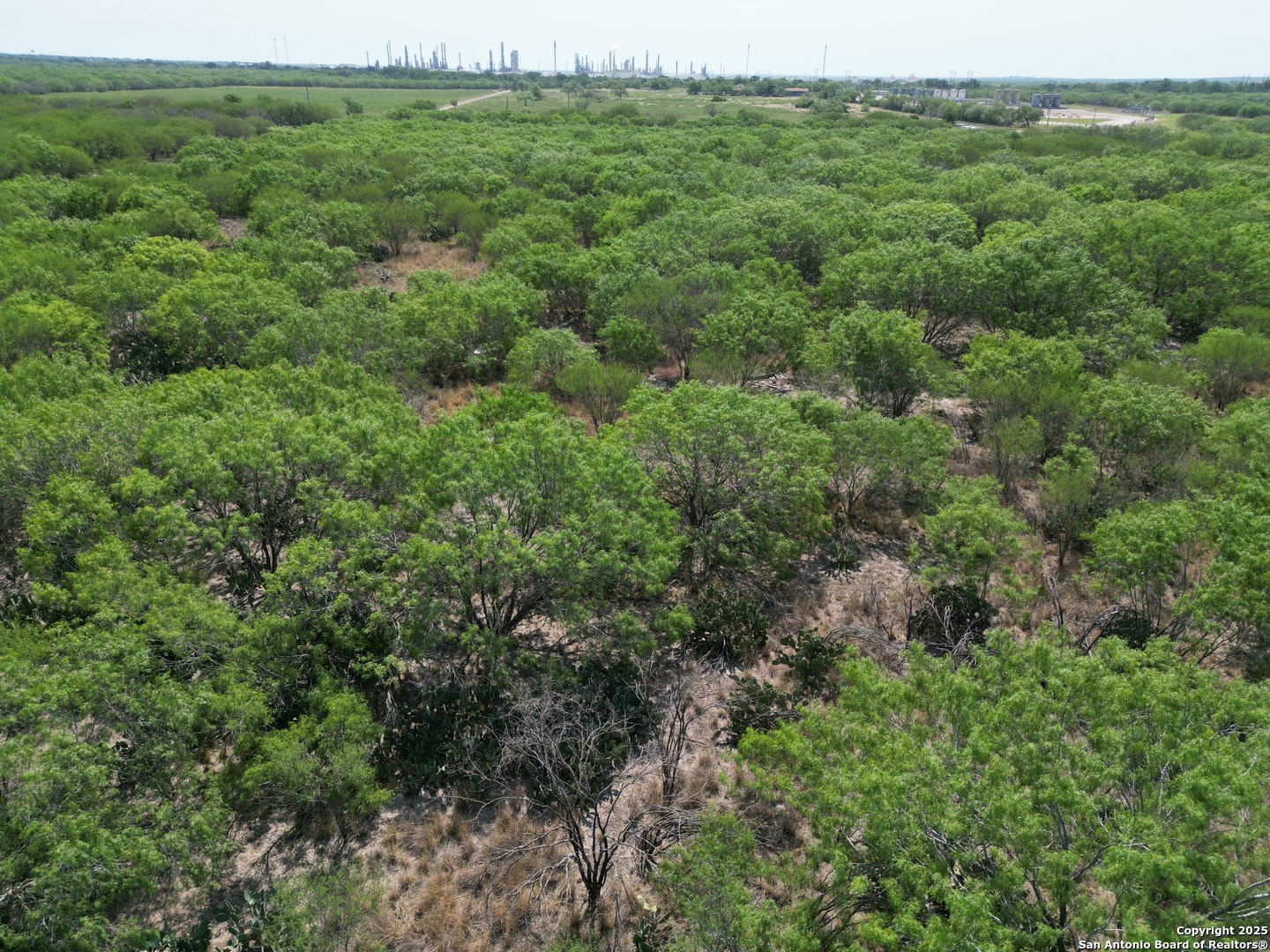 197 County Road 422 Three Rivers TX 78071