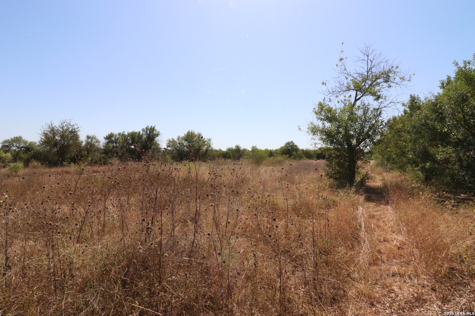 10530 State Highway 16 San Antonio TX 78224