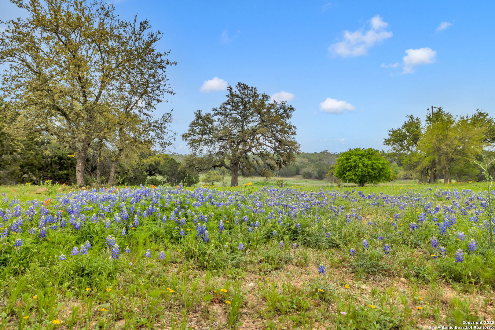 123 Rocky Road Hye TX 78635