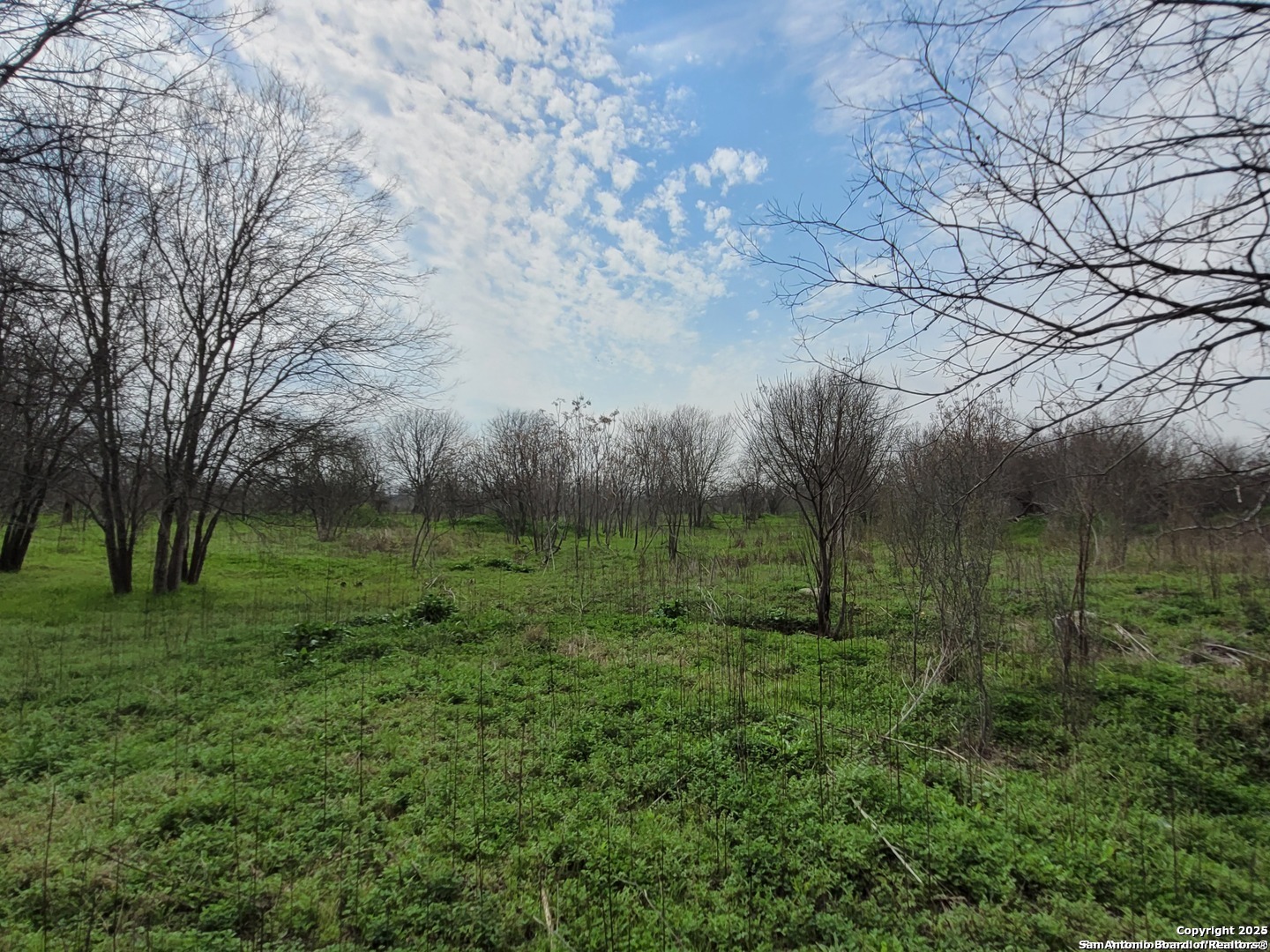 3628 Loop 1604 San Antonio TX 78264