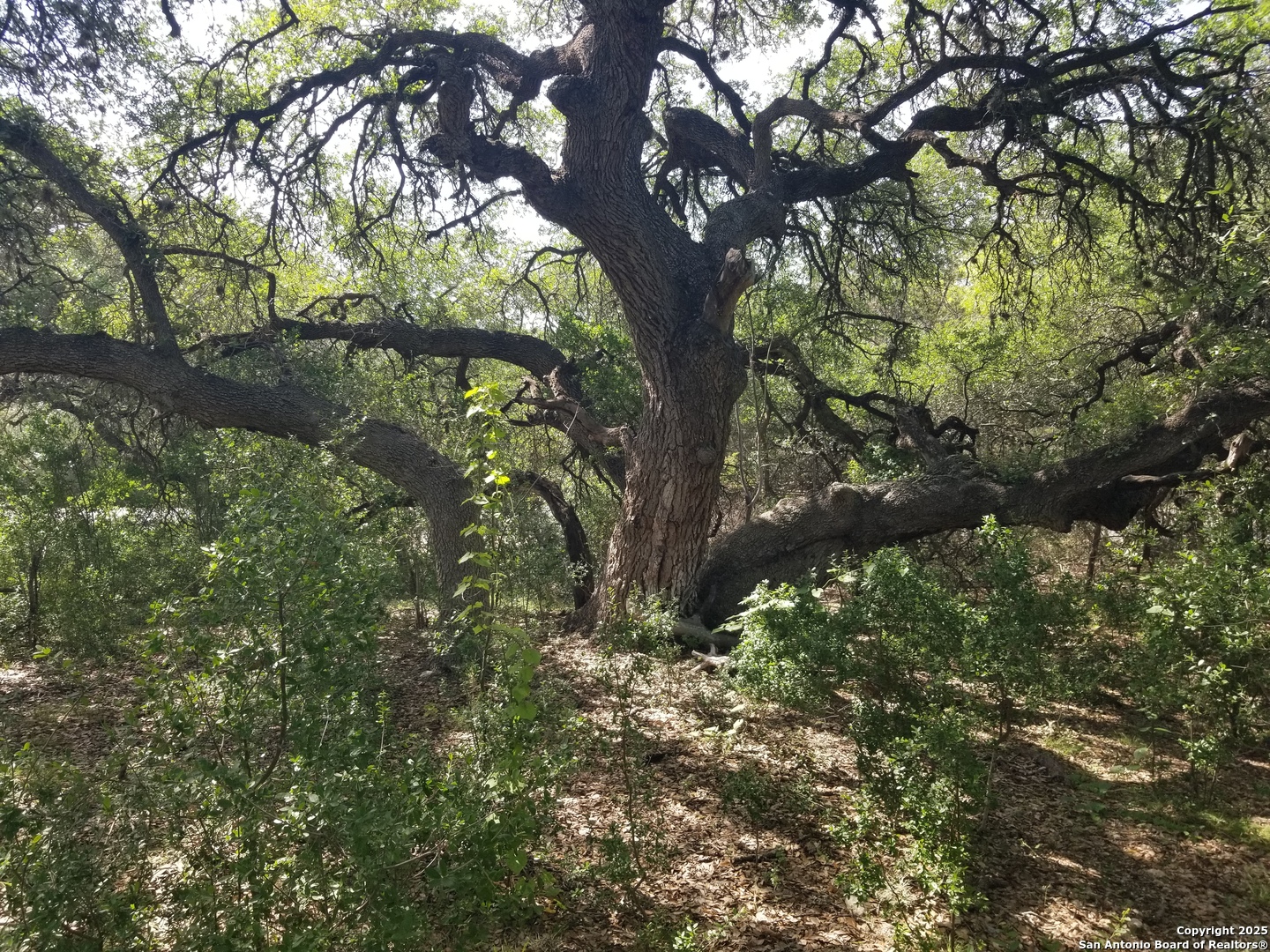 9200 Park Road 37 Lakehills TX 78063