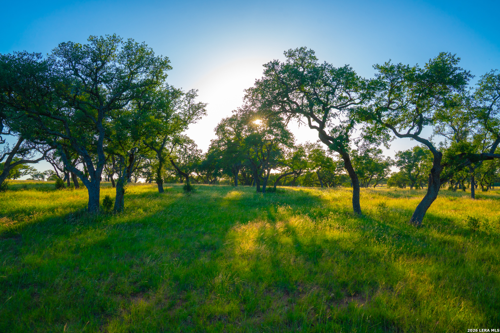 Tbd Wine Trail Drive Johnson City TX 78636