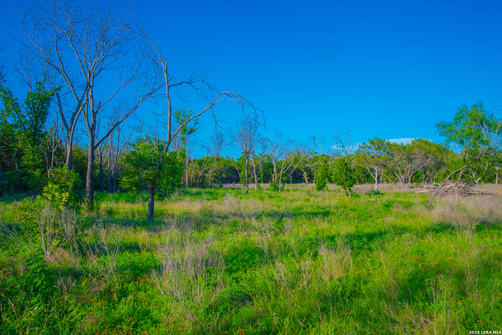 Tbd Wine Trail Drive Johnson City TX 78636