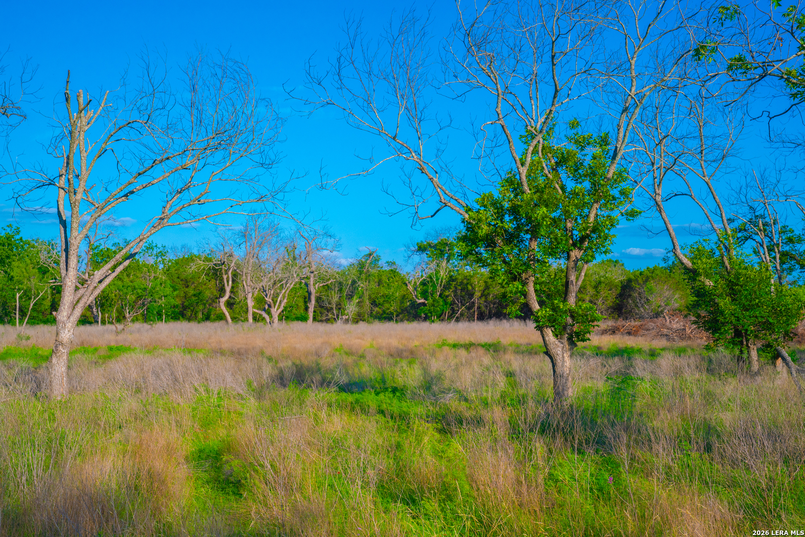 Tbd Wine Trail Drive Johnson City TX 78636