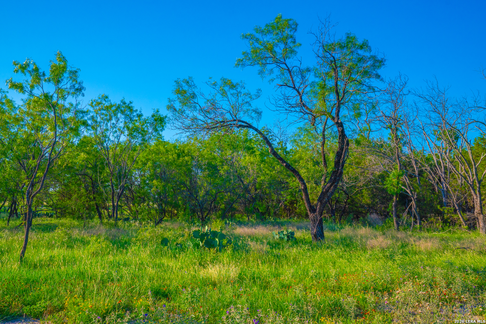 Tbd Wine Trail Drive Johnson City TX 78636
