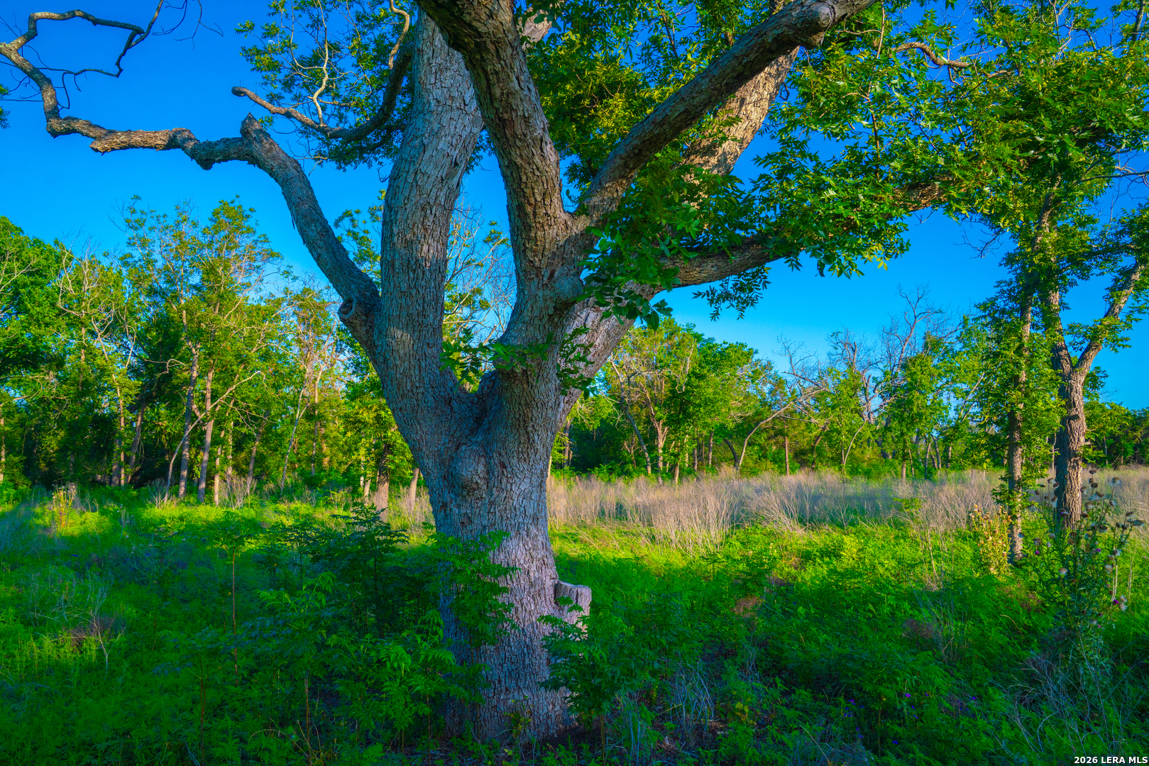Tbd Wine Trail Drive Johnson City TX 78636