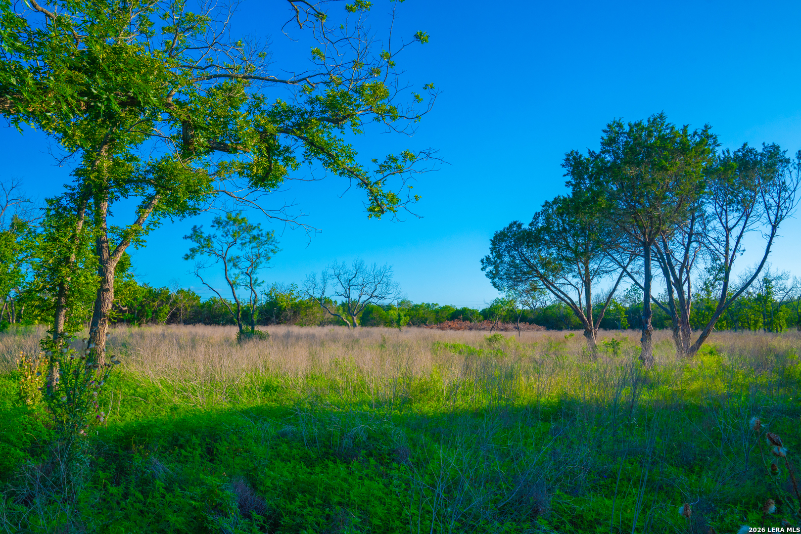 Tbd Wine Trail Drive Johnson City TX 78636